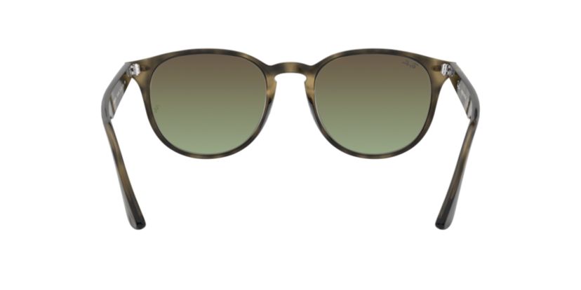 RB4361 Evolve Sunglasses