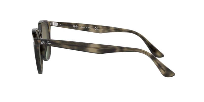 RB4361 Evolve Sunglasses