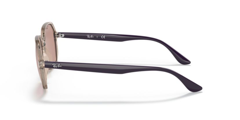 RB4361 Evolve Sunglasses