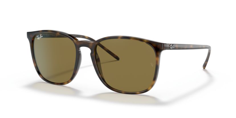 RB4387 Sunglasses
