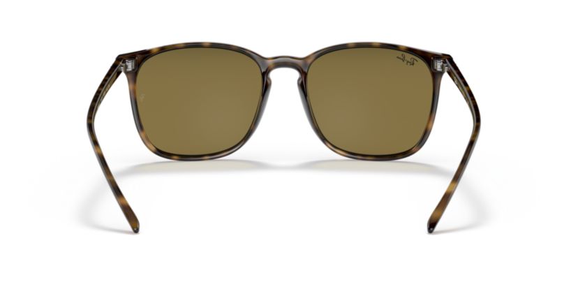 RB4387 Sunglasses
