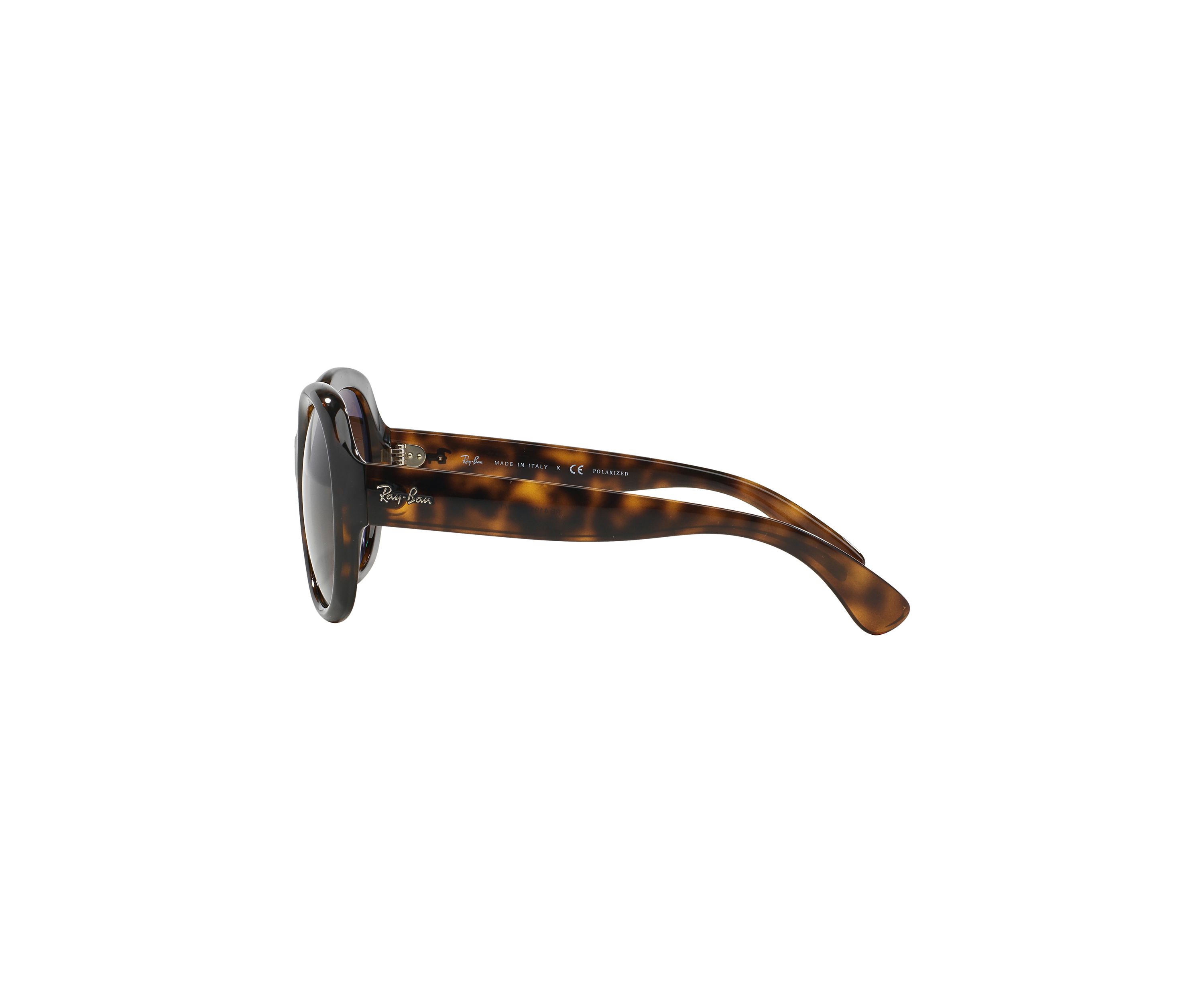 RB4191 Polarized Sunglasses