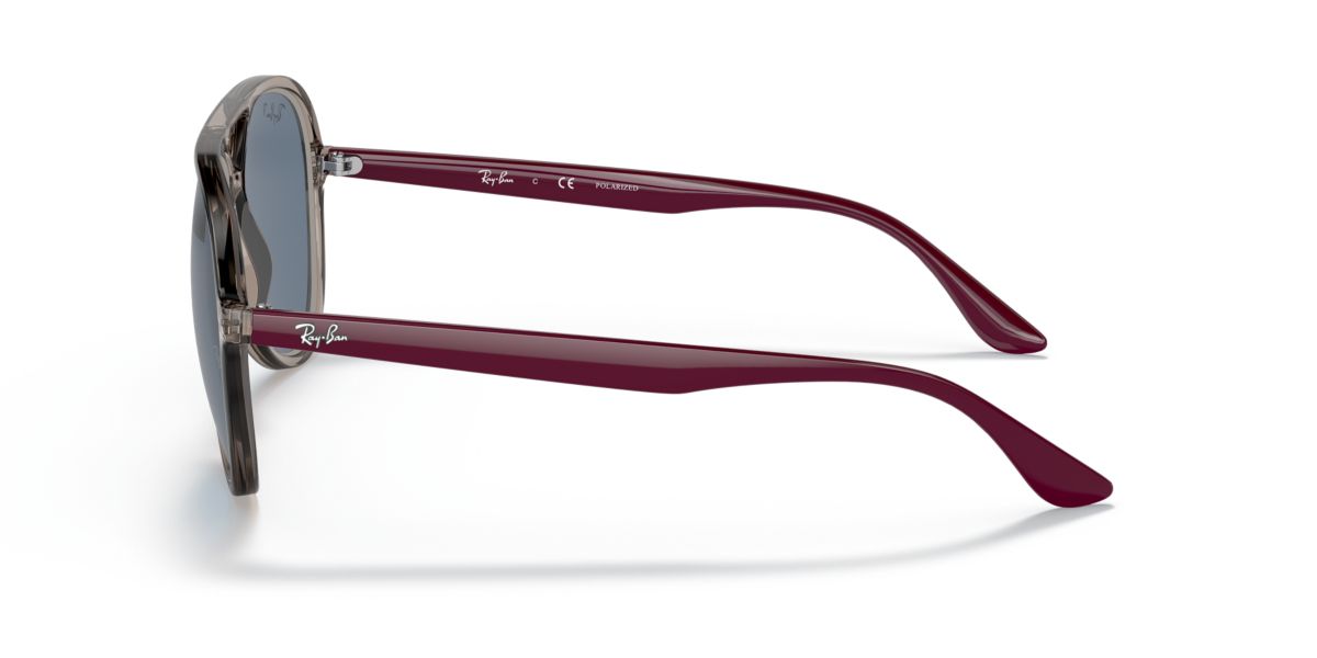 RB4376 Polarized Sunglasses