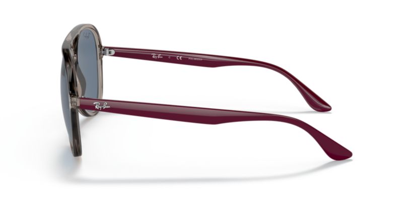 RB4376 Polarized Sunglasses