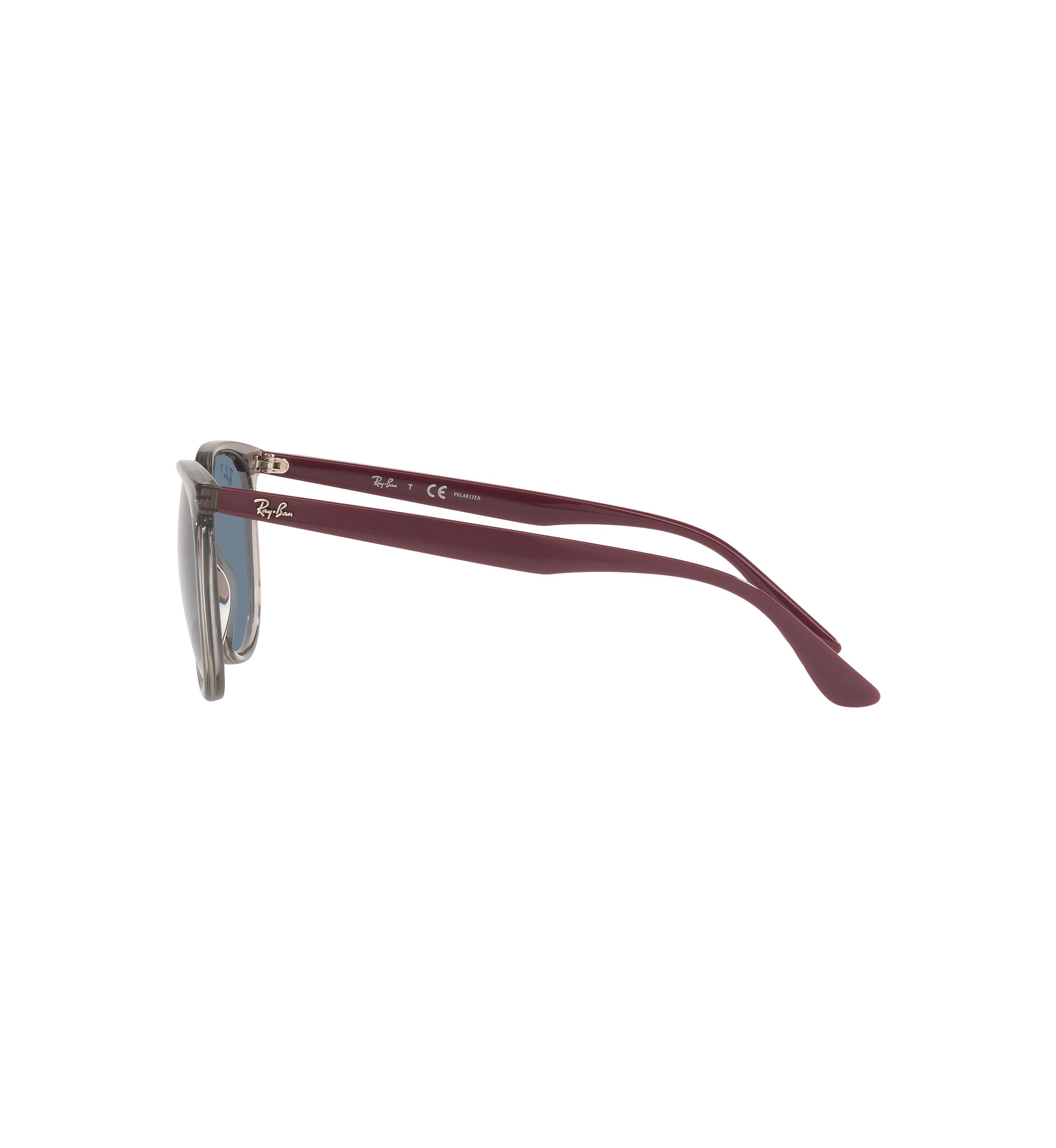 RB4378 Polarized Sunglasses