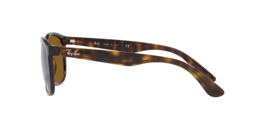 RB4374 Sunglasses