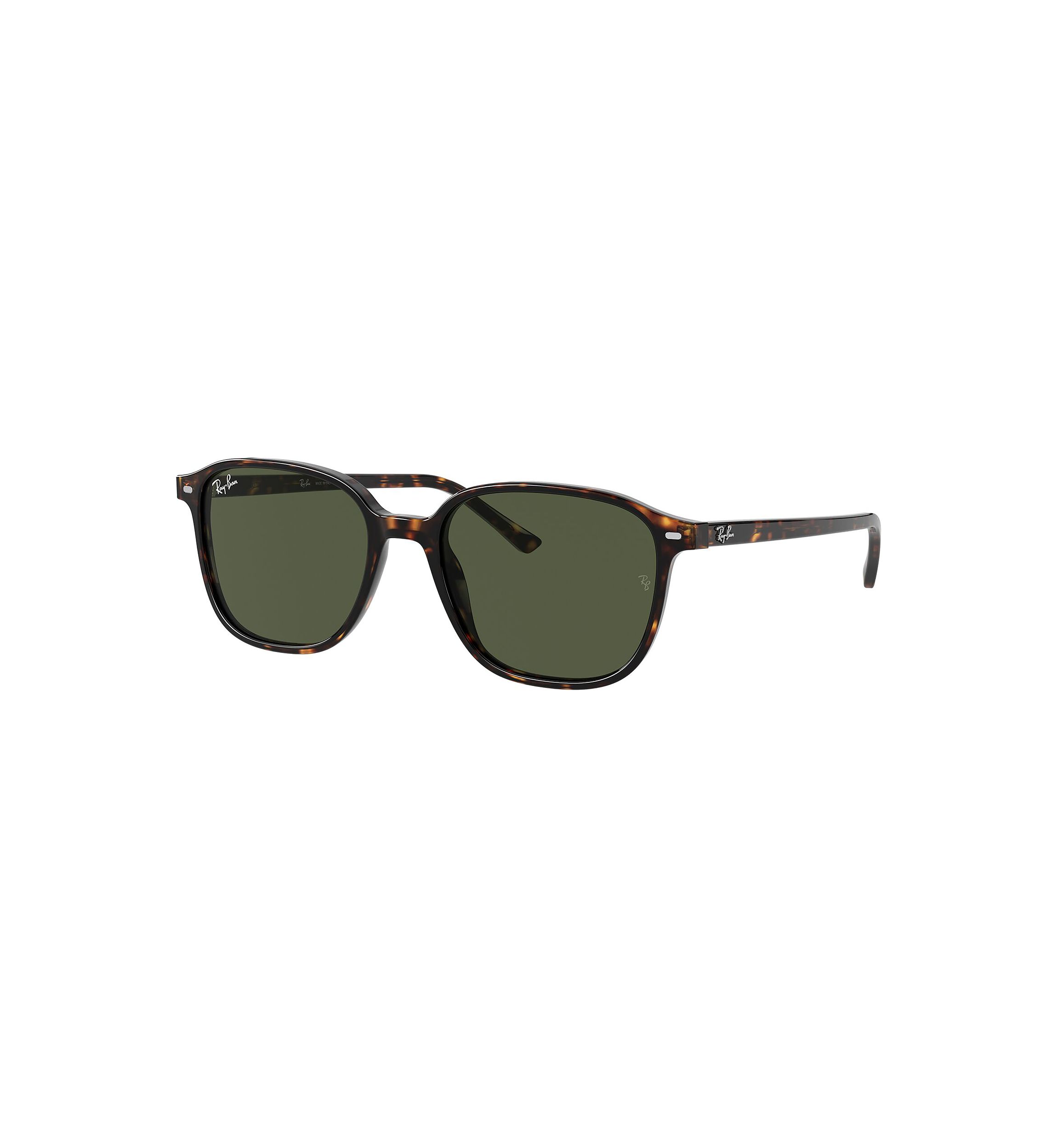 RB2193 Leonard Sunglasses