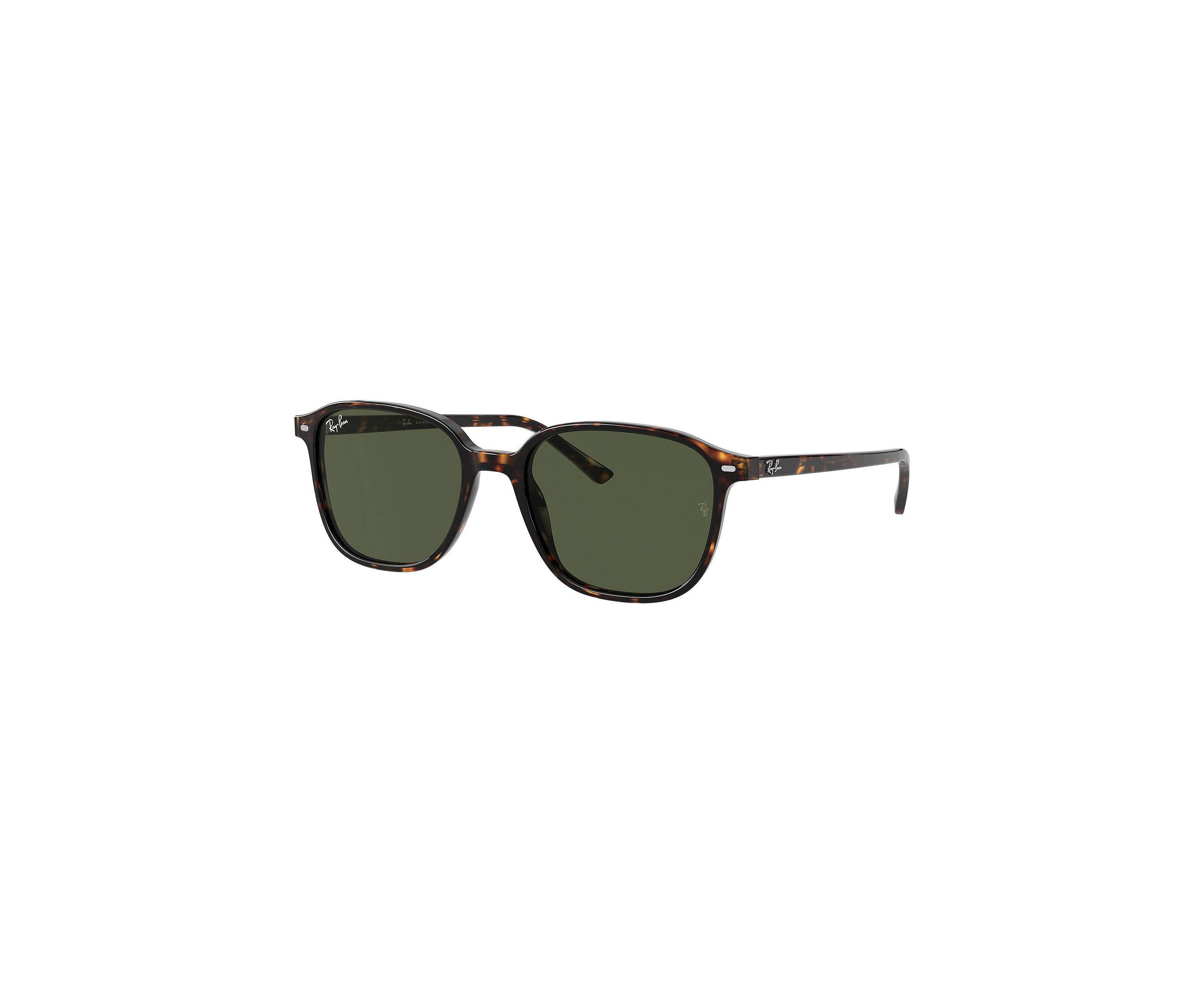 RB2193 Leonard Sunglasses
