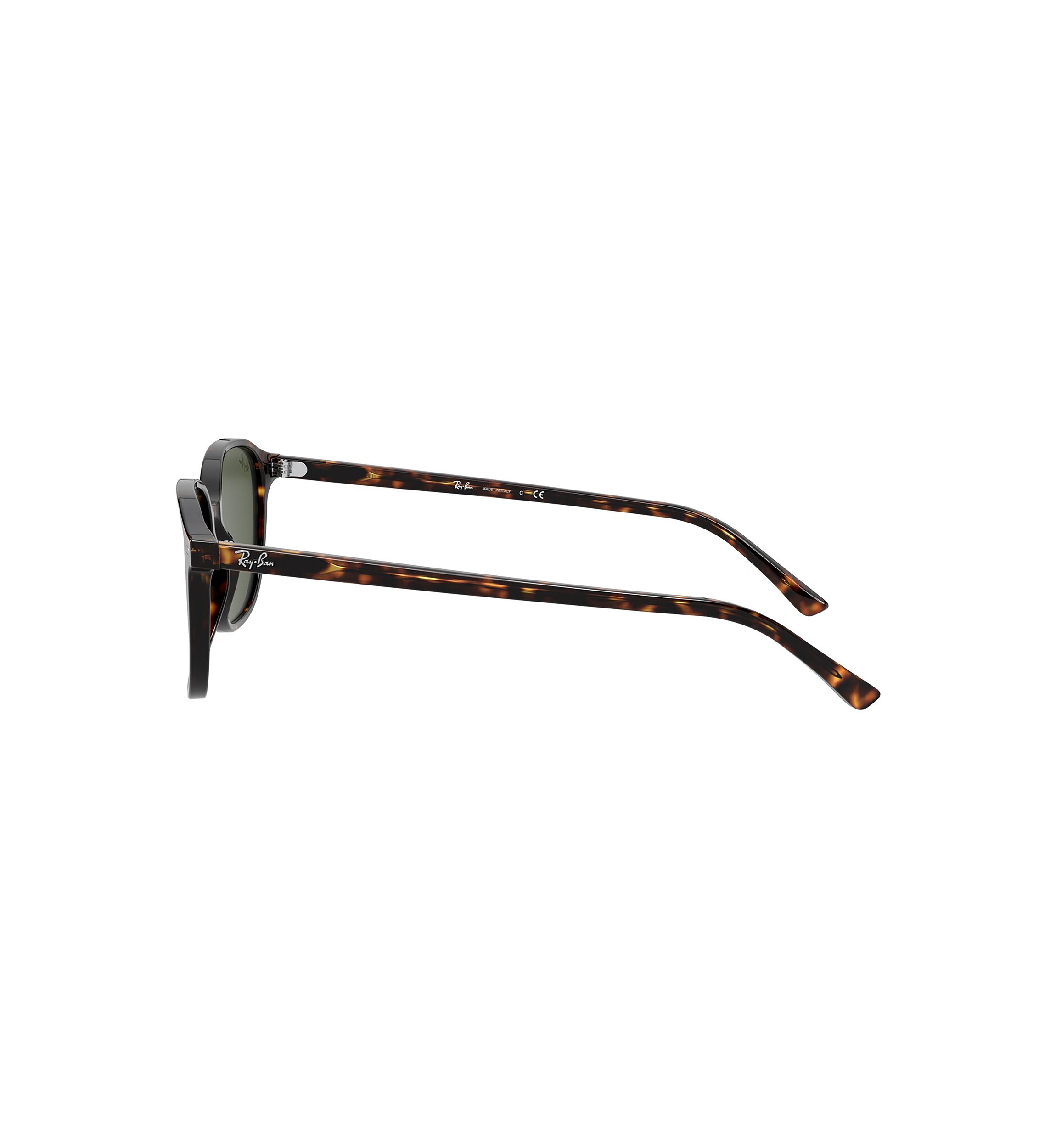 RB2193 Leonard Sunglasses