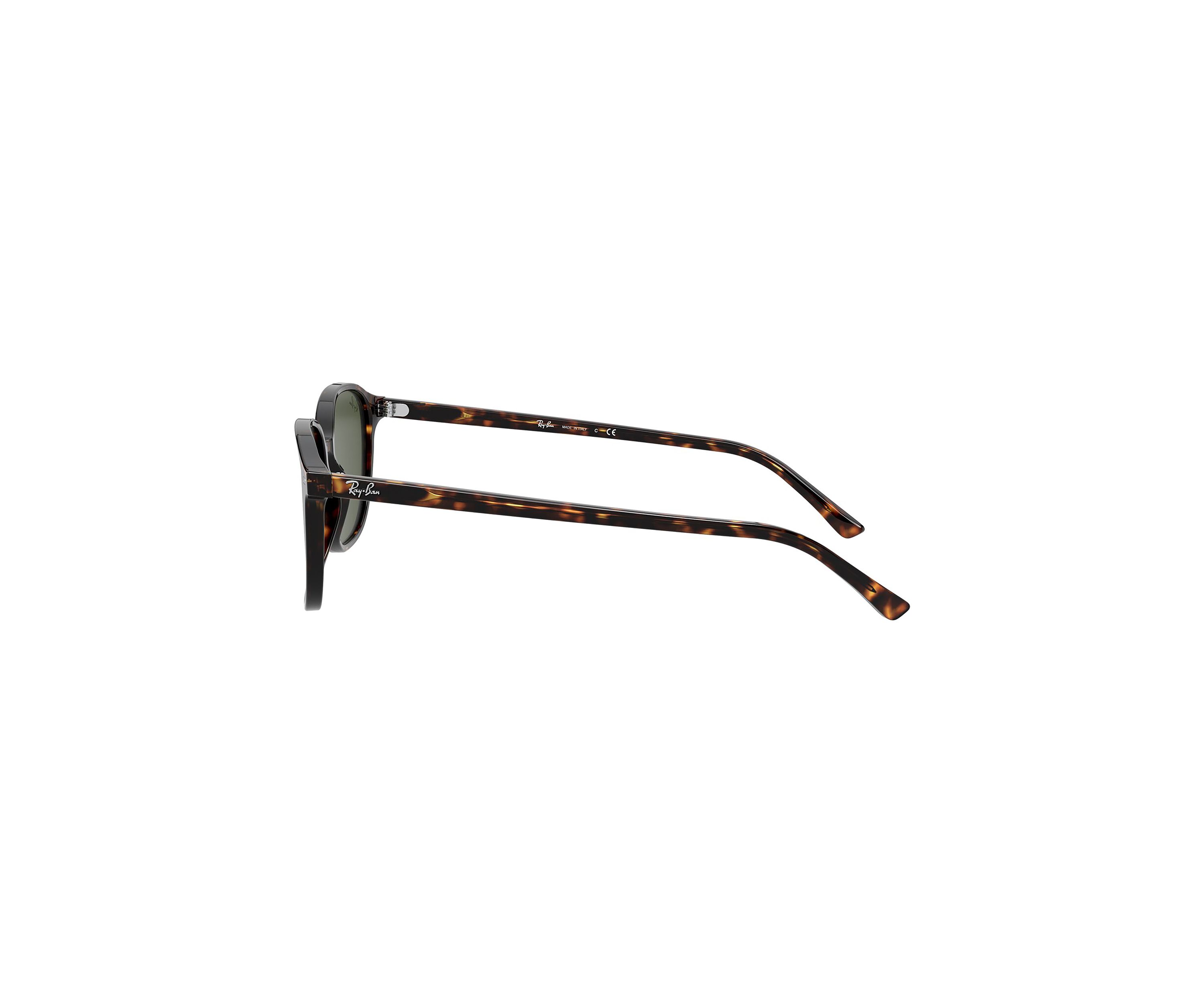 RB2193 Leonard Sunglasses