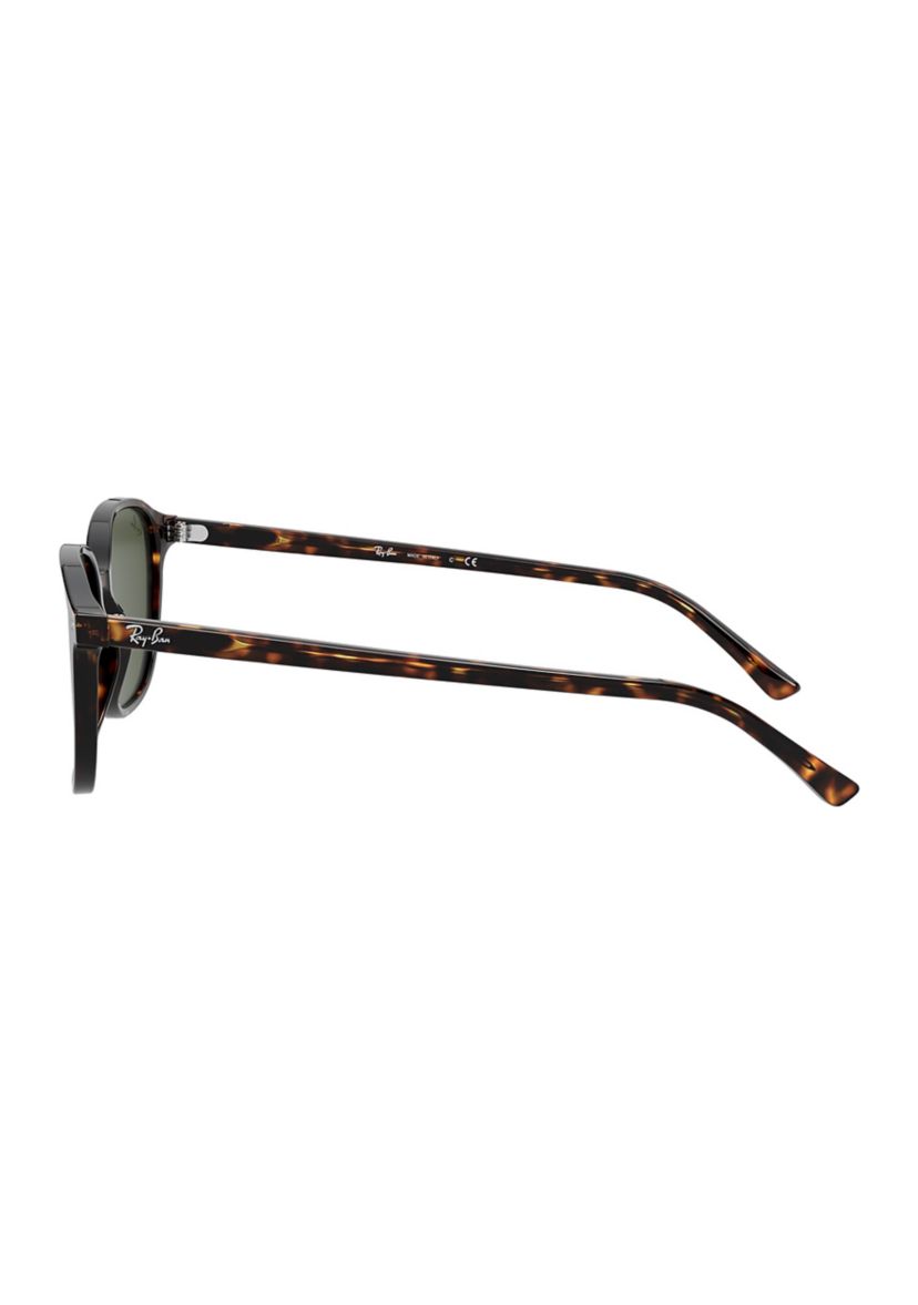 RB2193 Leonard Sunglasses