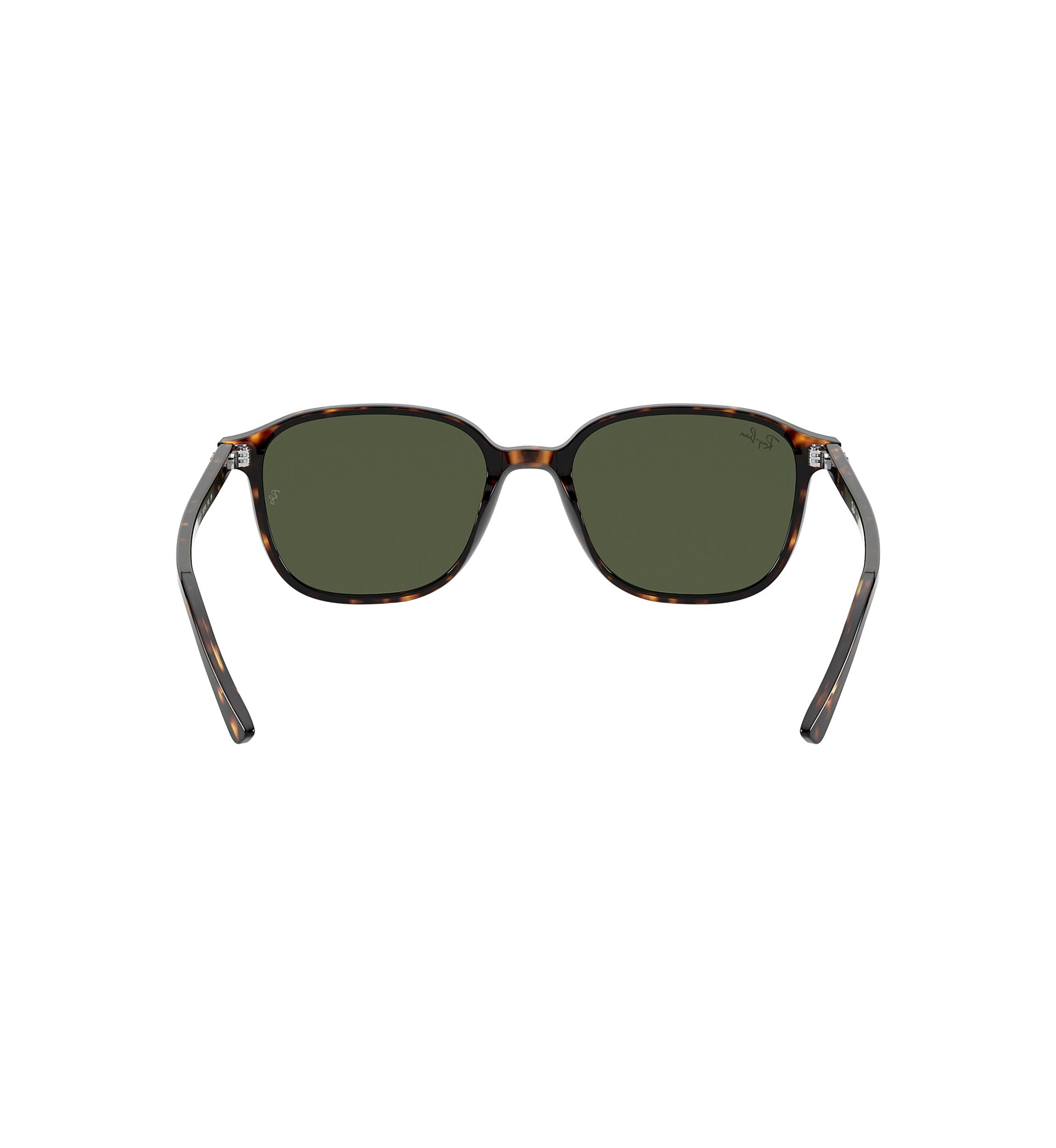 RB2193 Leonard Sunglasses