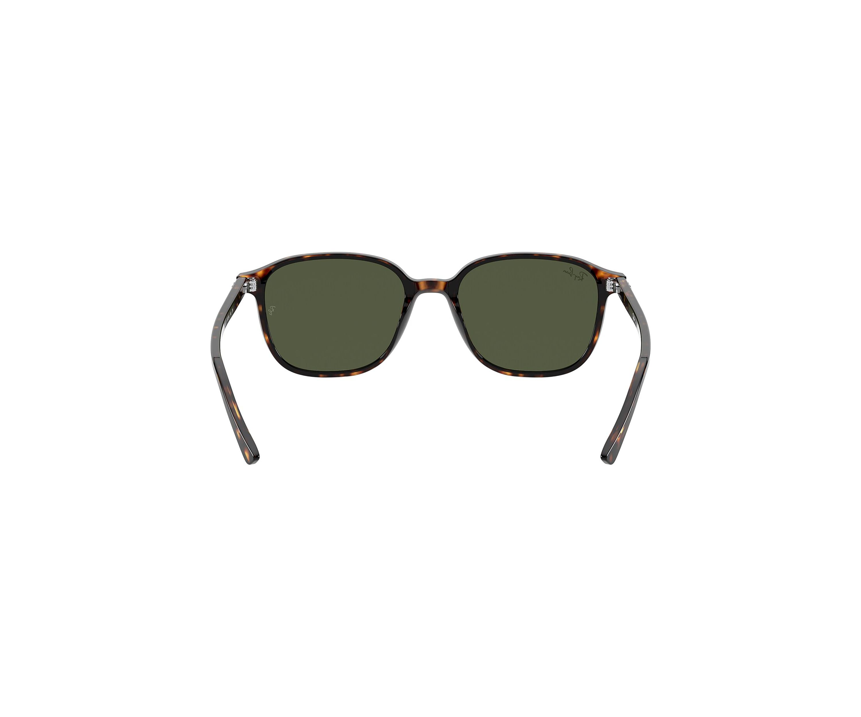 RB2193 Leonard Sunglasses