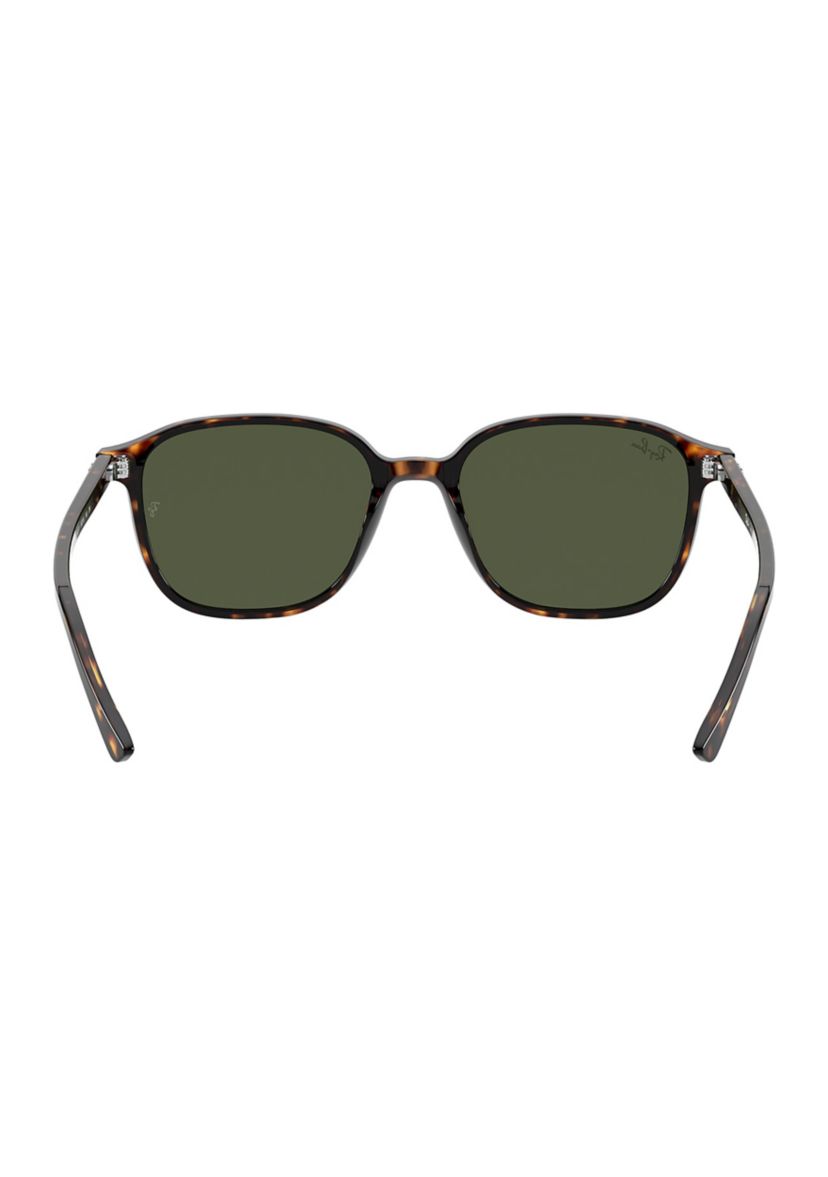 RB2193 Leonard Sunglasses
