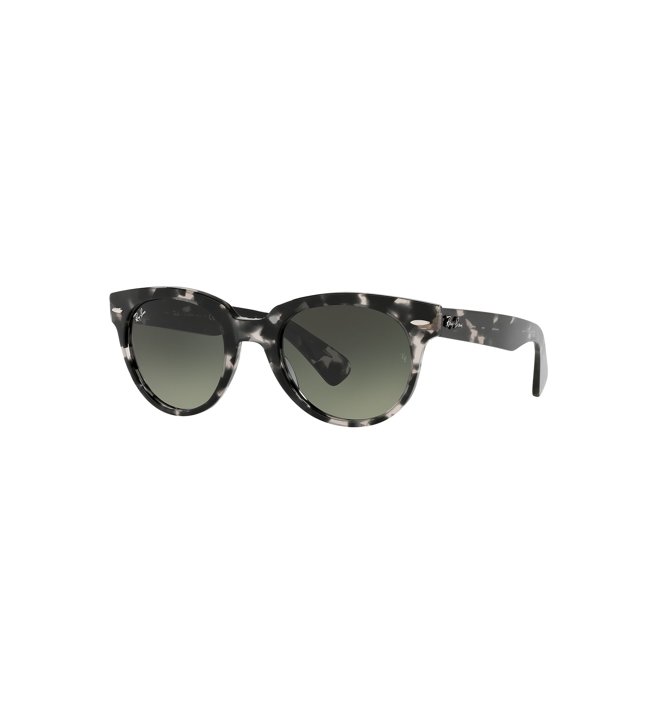 RB2199 Orion Sunglasses