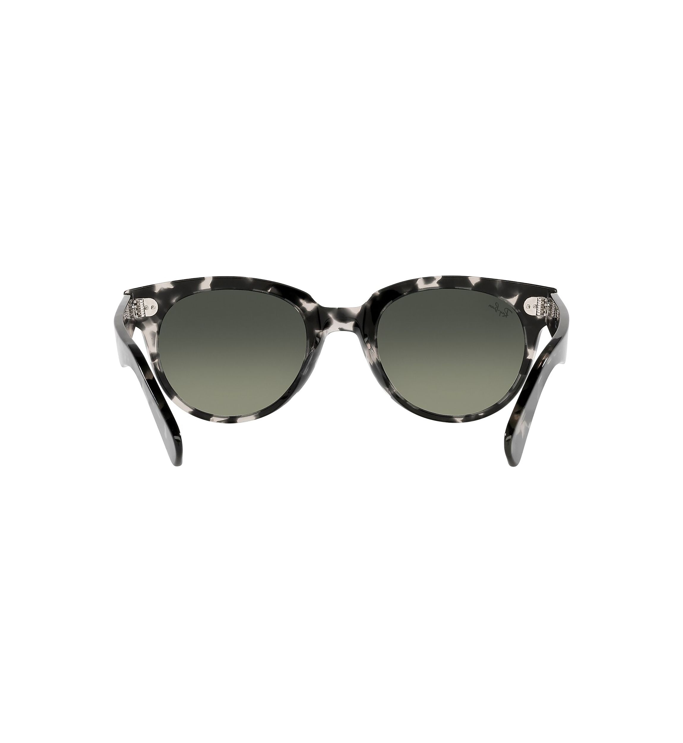 RB2199 Orion Sunglasses