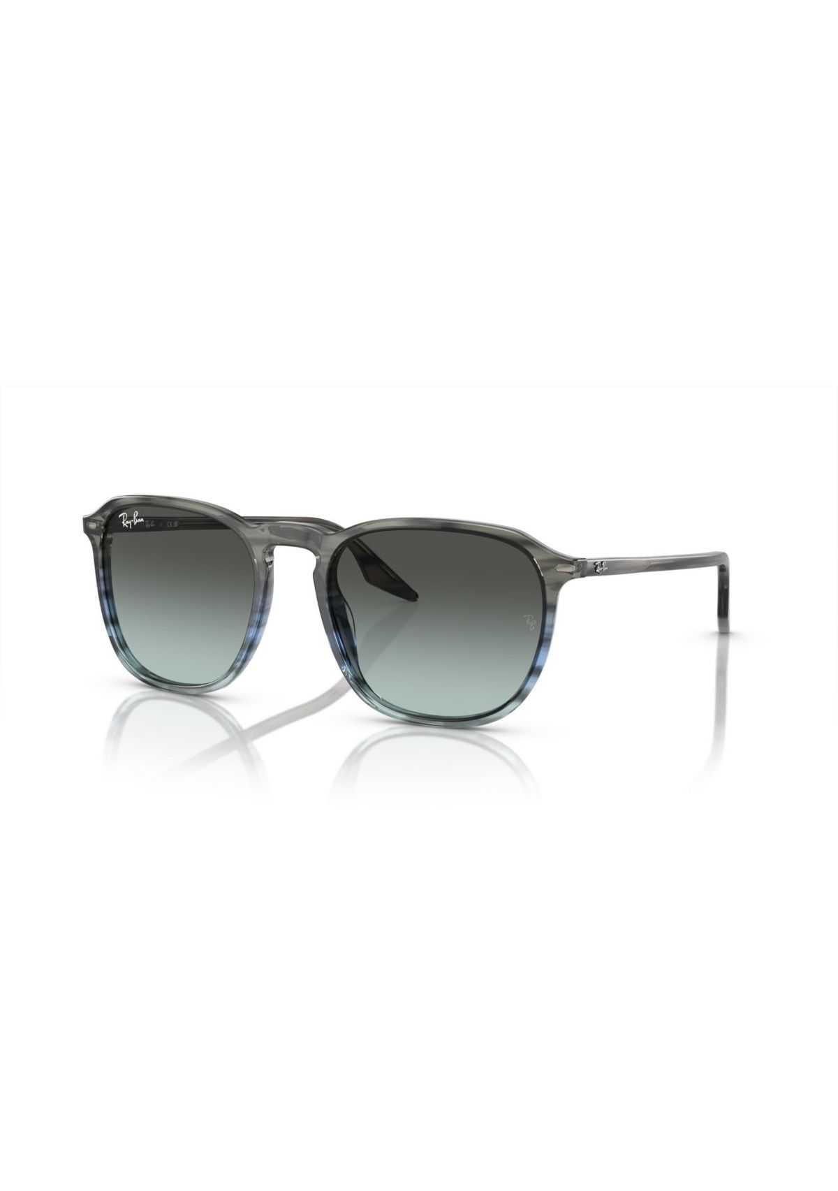 RB2203 Sunglasses
