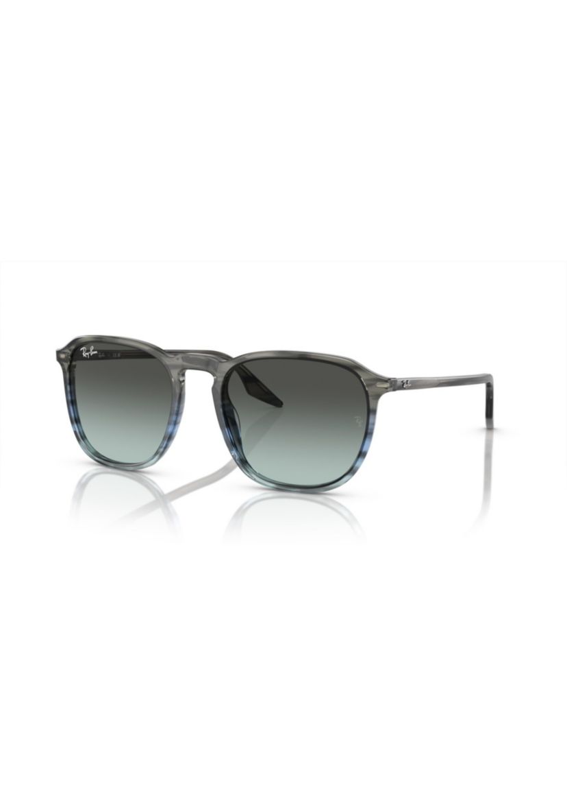 RB2203 Sunglasses