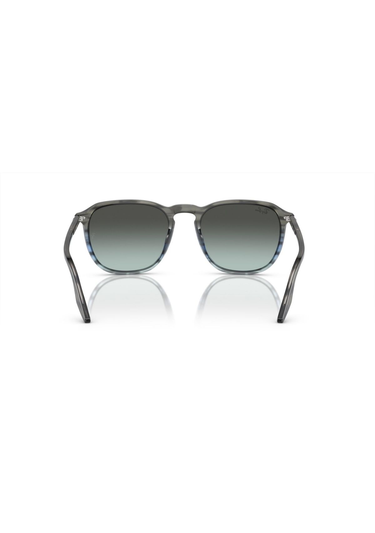 RB2203 Sunglasses