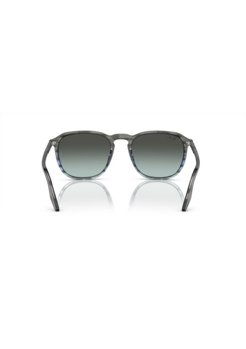 RB2203 Sunglasses