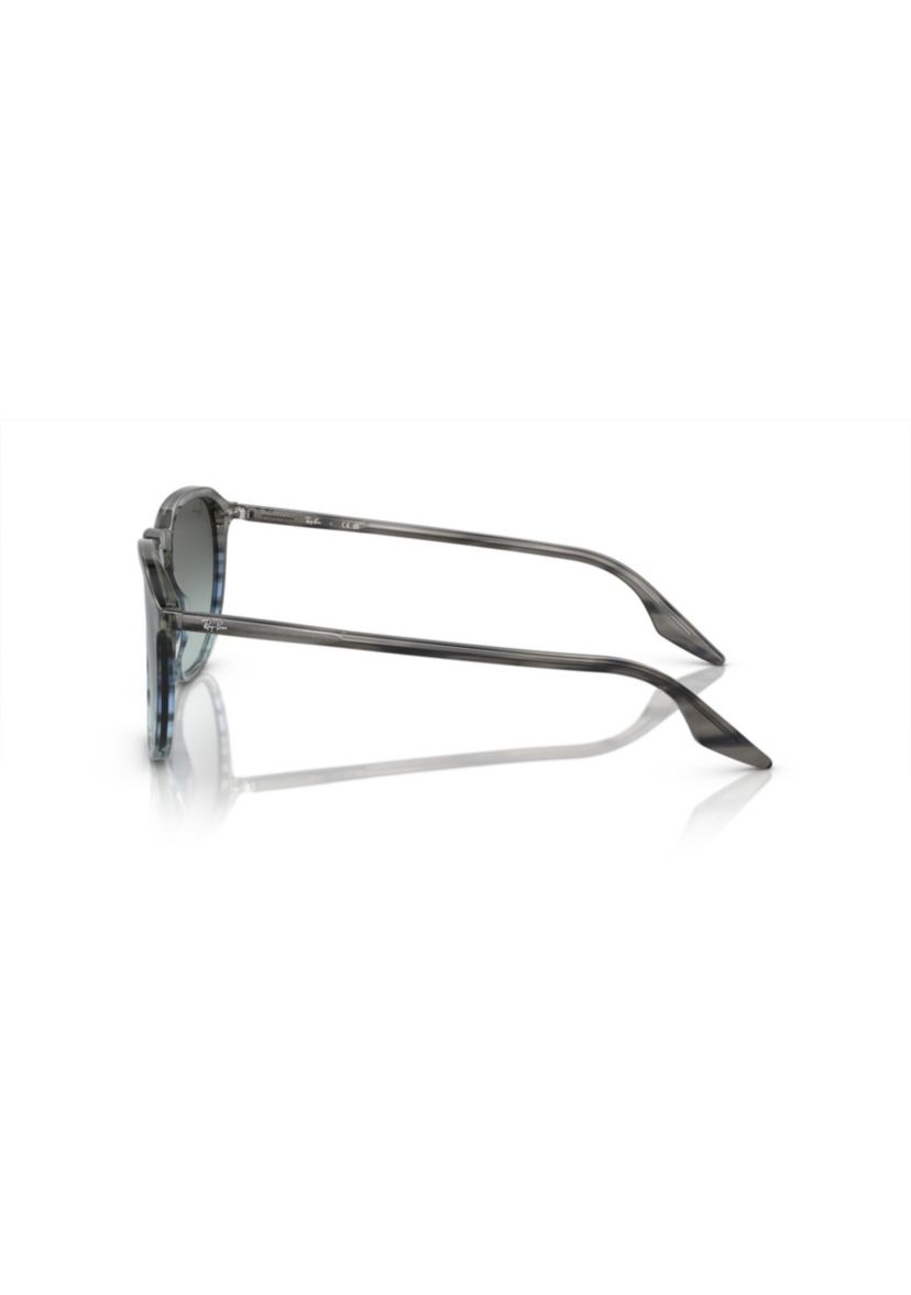 RB2203 Sunglasses