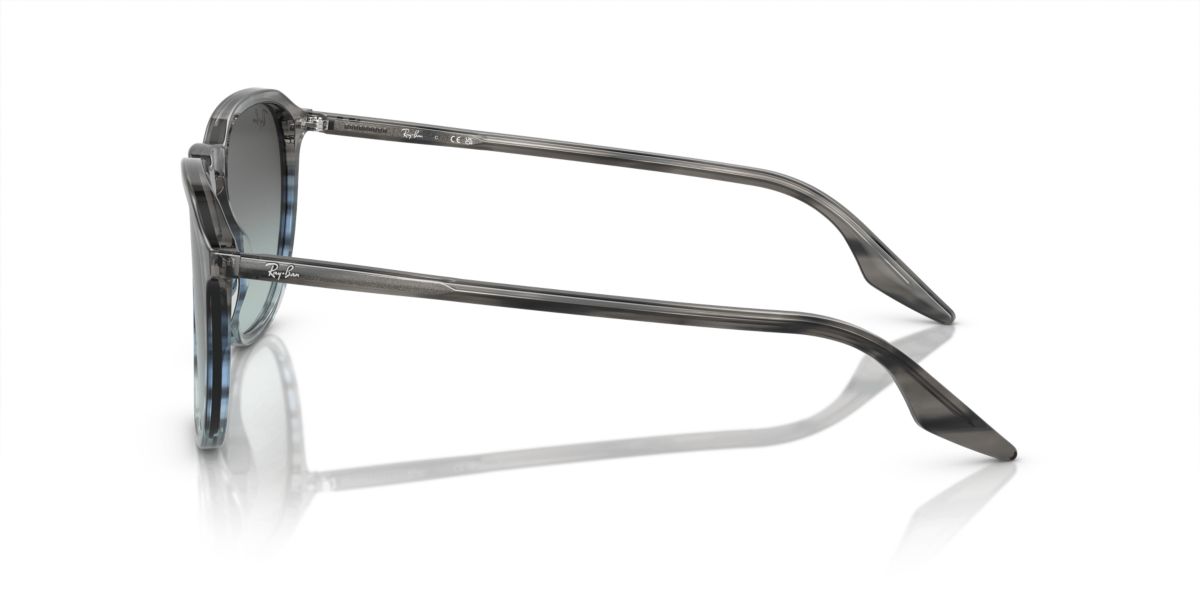 RB2203 Sunglasses