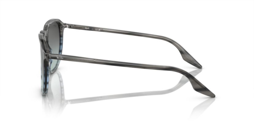 RB2203 Sunglasses