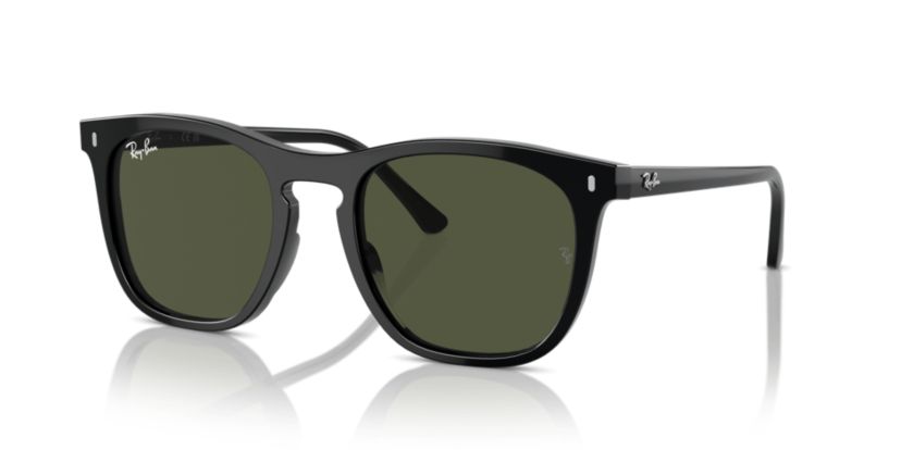 RB2210 Sunglasses