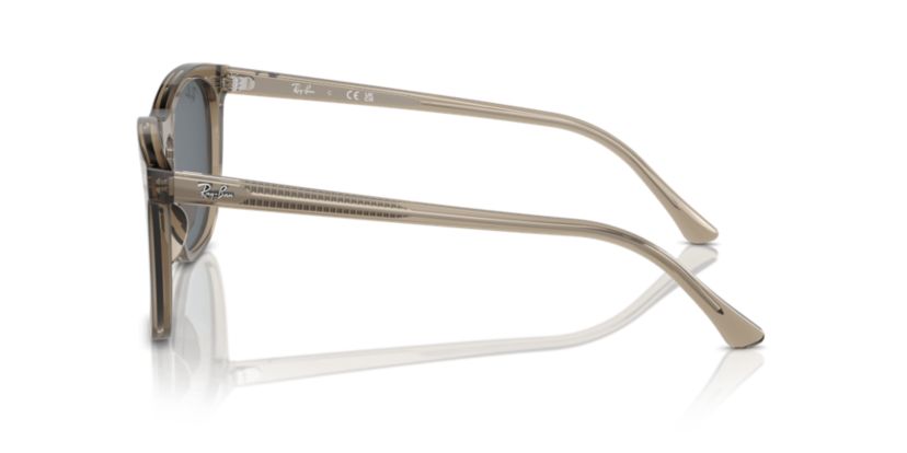 RB2210 Sunglasses