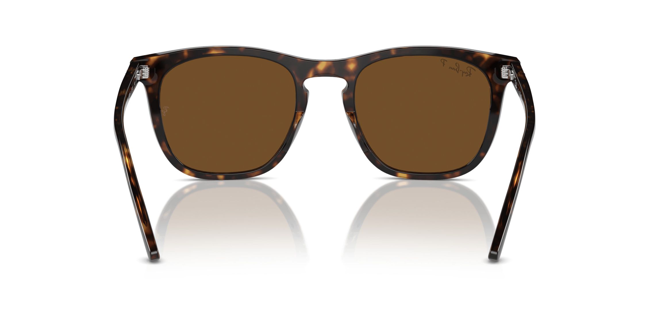 RB2210 Polarized Sunglasses