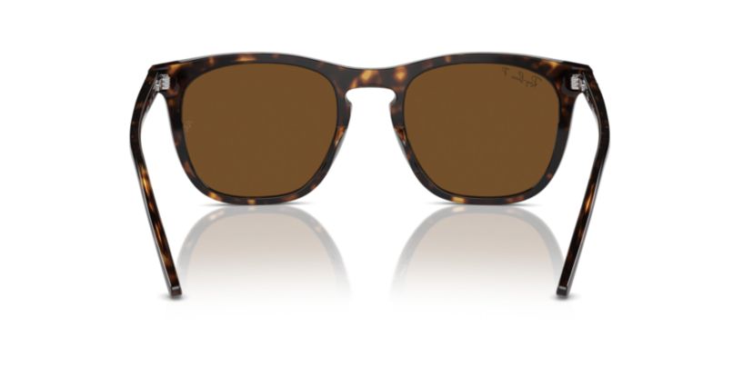 RB2210 Polarized Sunglasses