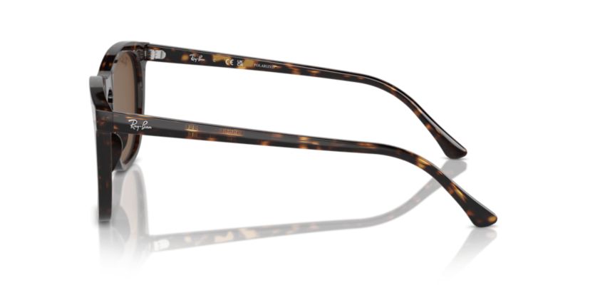 RB2210 Polarized Sunglasses