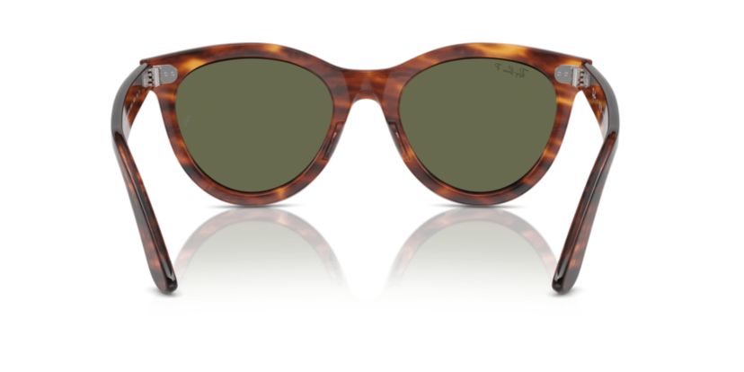 RB2241 Wayfarer Way Polarized Sunglasses