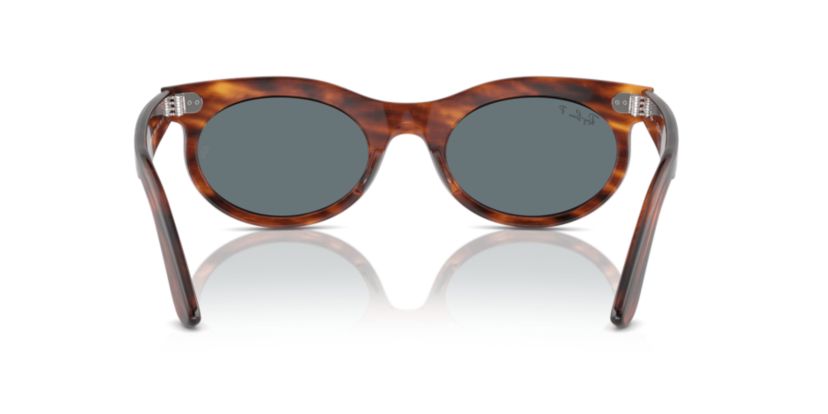 RB2242 Wayfarer Oval Polarized Sunglasses
