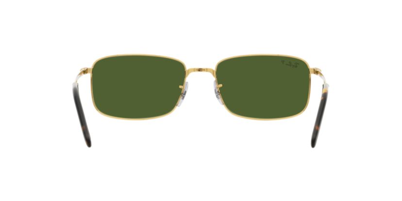 RB3717 Polarized Sunglasses