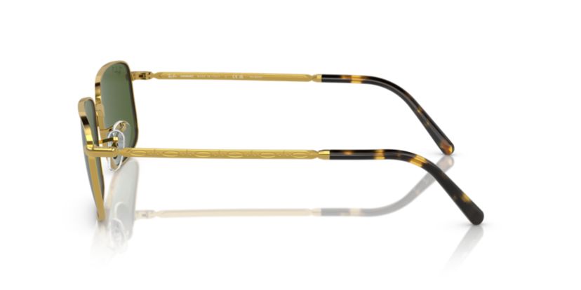 RB3717 Polarized Sunglasses