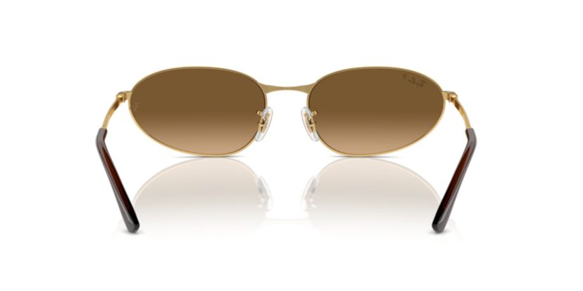 RB3734 Polarized Sunglasses