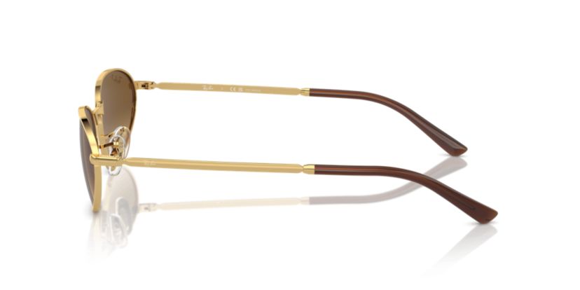 RB3734 Polarized Sunglasses