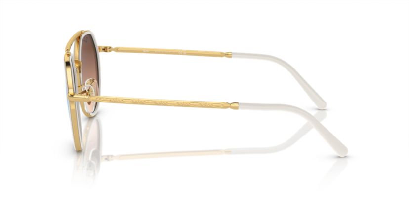 RB3765 Sunglasses