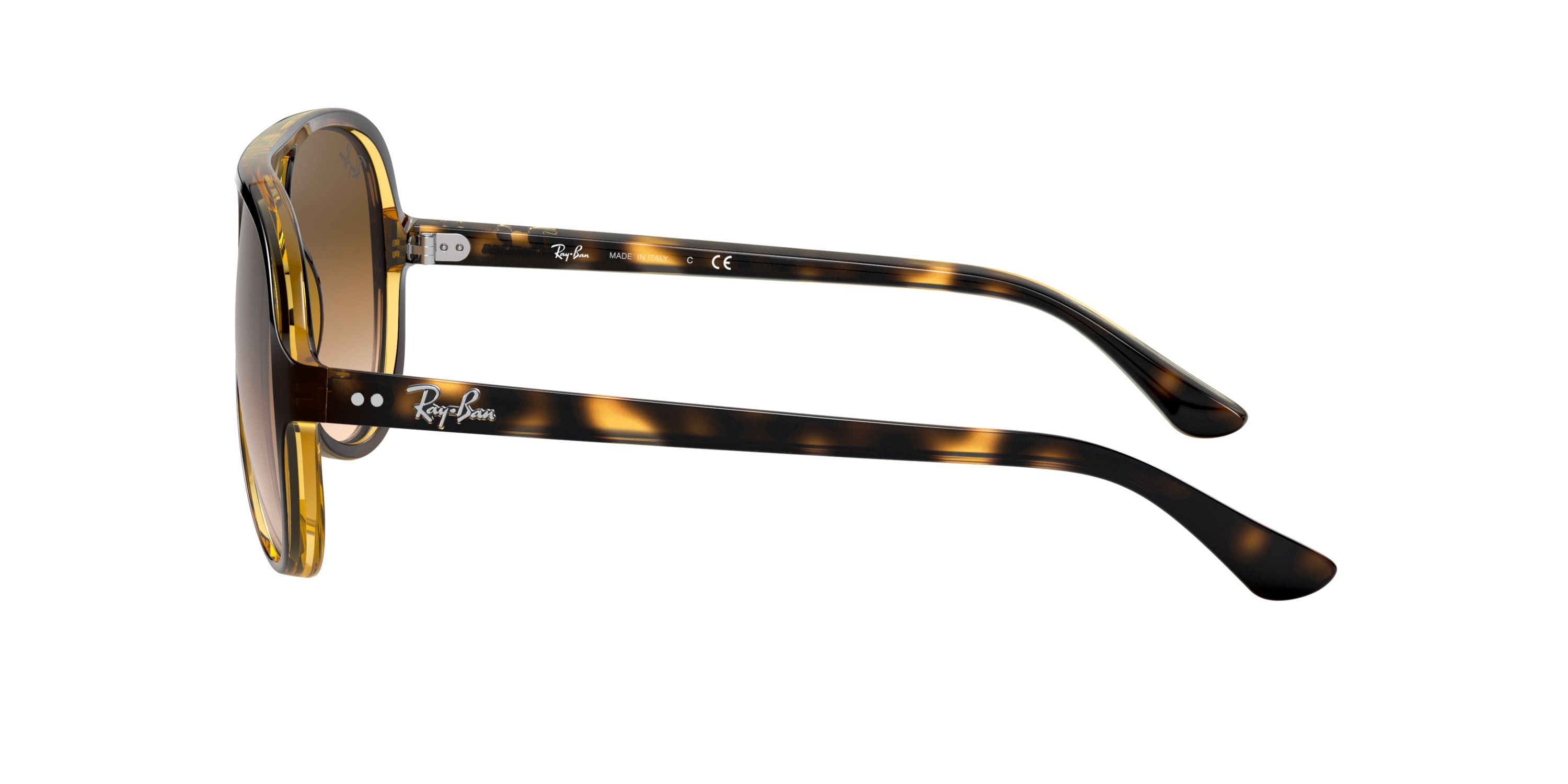 RB4125 CATS 5000 CLASSIC Sunglasses