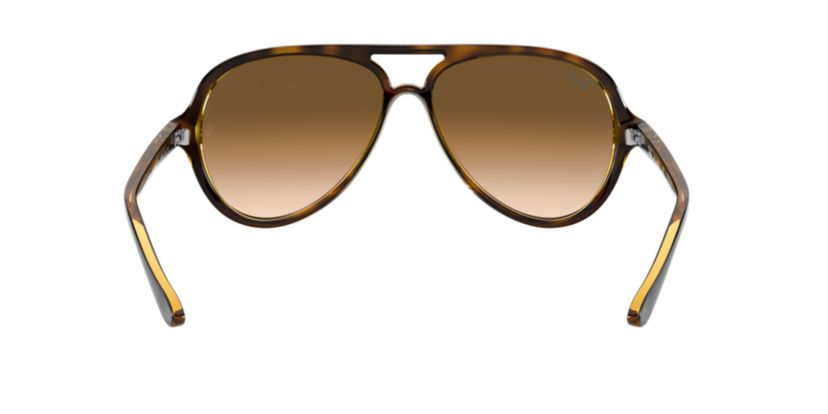 RB4125 CATS 5000 CLASSIC Sunglasses