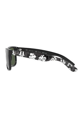 RB4165 Sunglasses