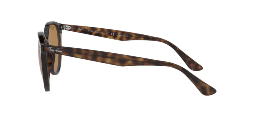 RB4305 Polarized Sunglasses