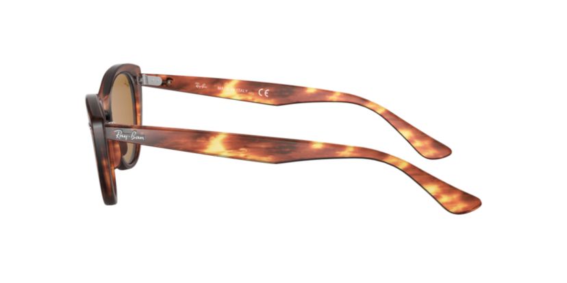 RB4314N Nina Sunglasses