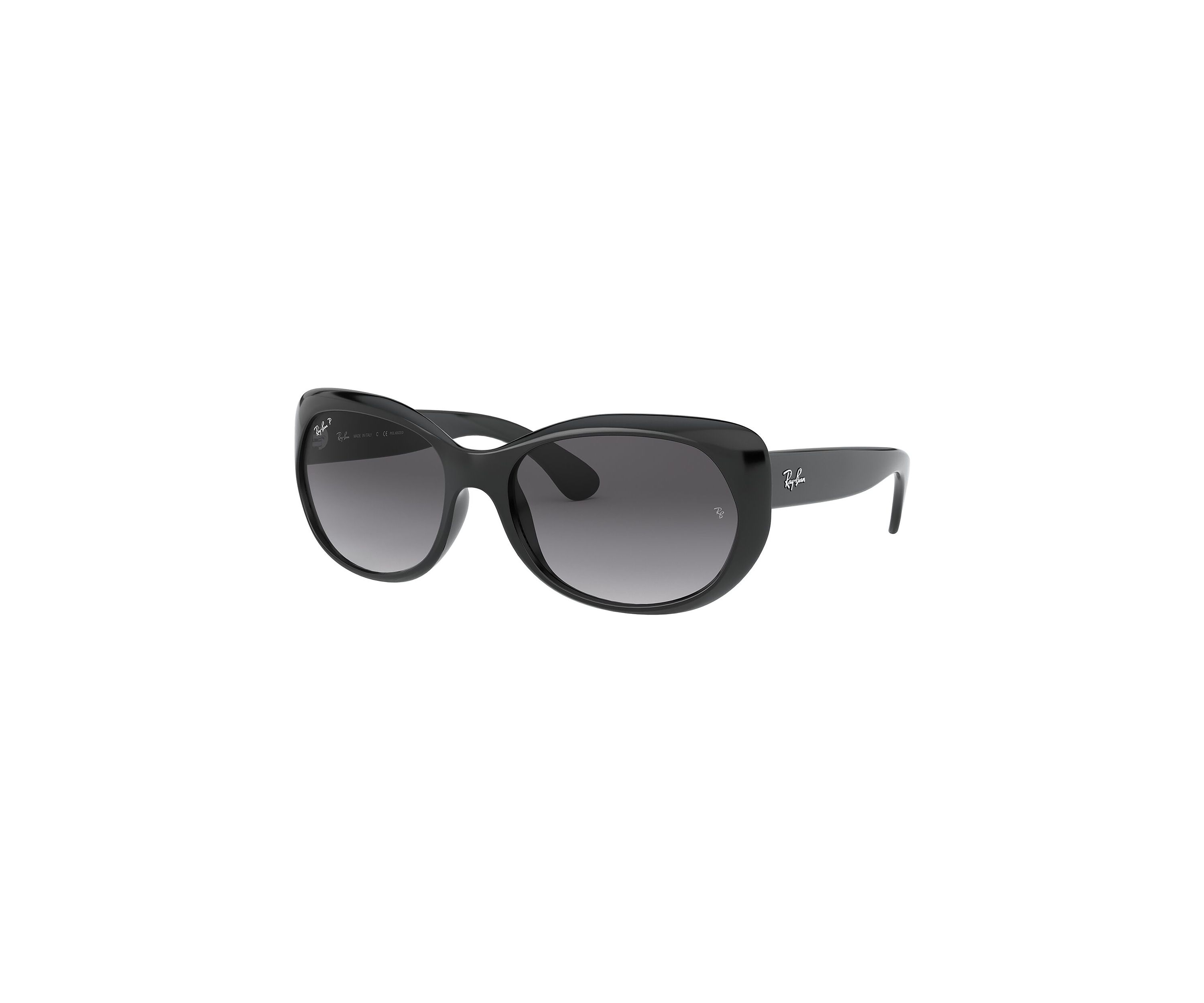 RB2193 Leonard Polarized Sunglasses