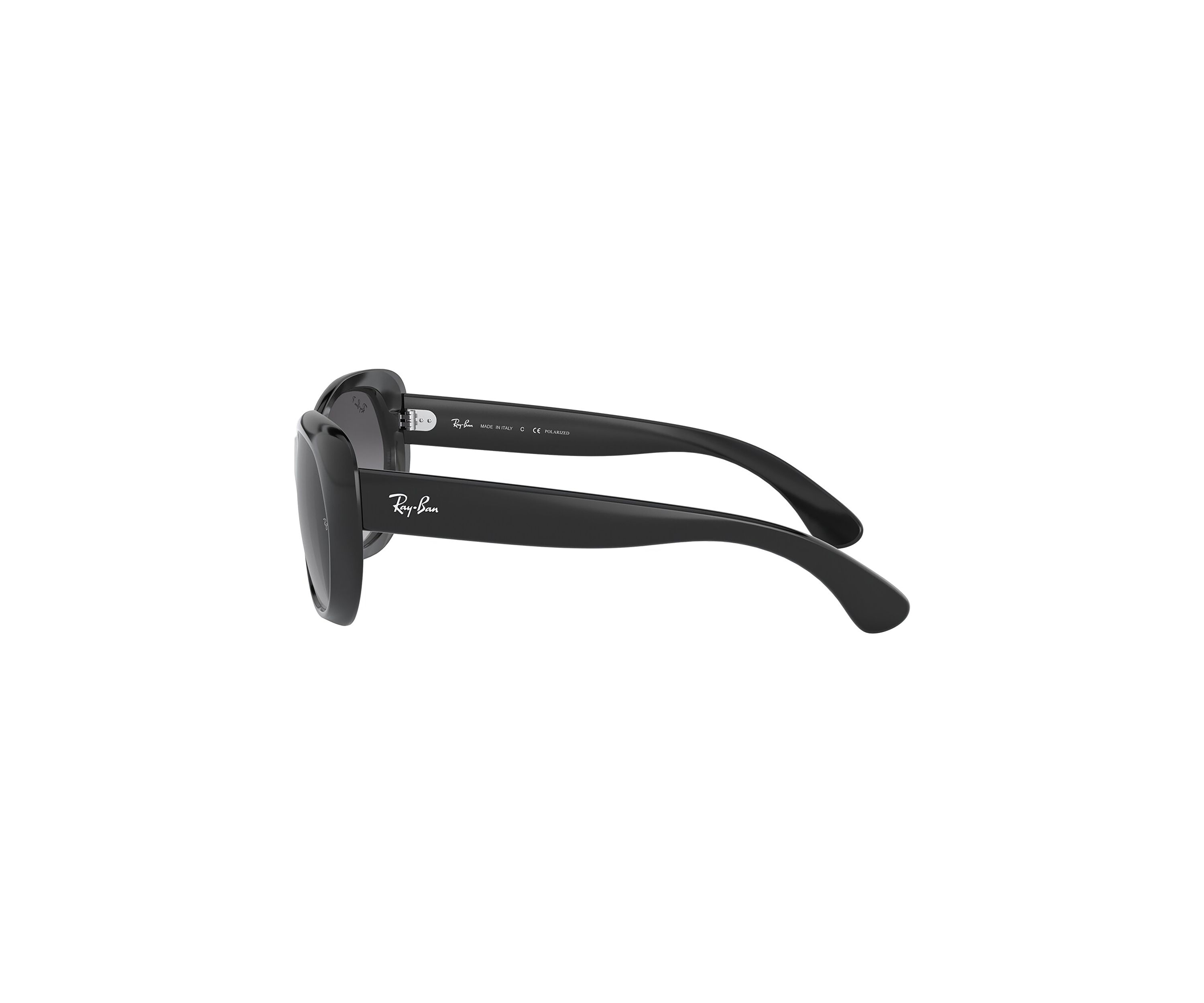 RB2193 Leonard Polarized Sunglasses