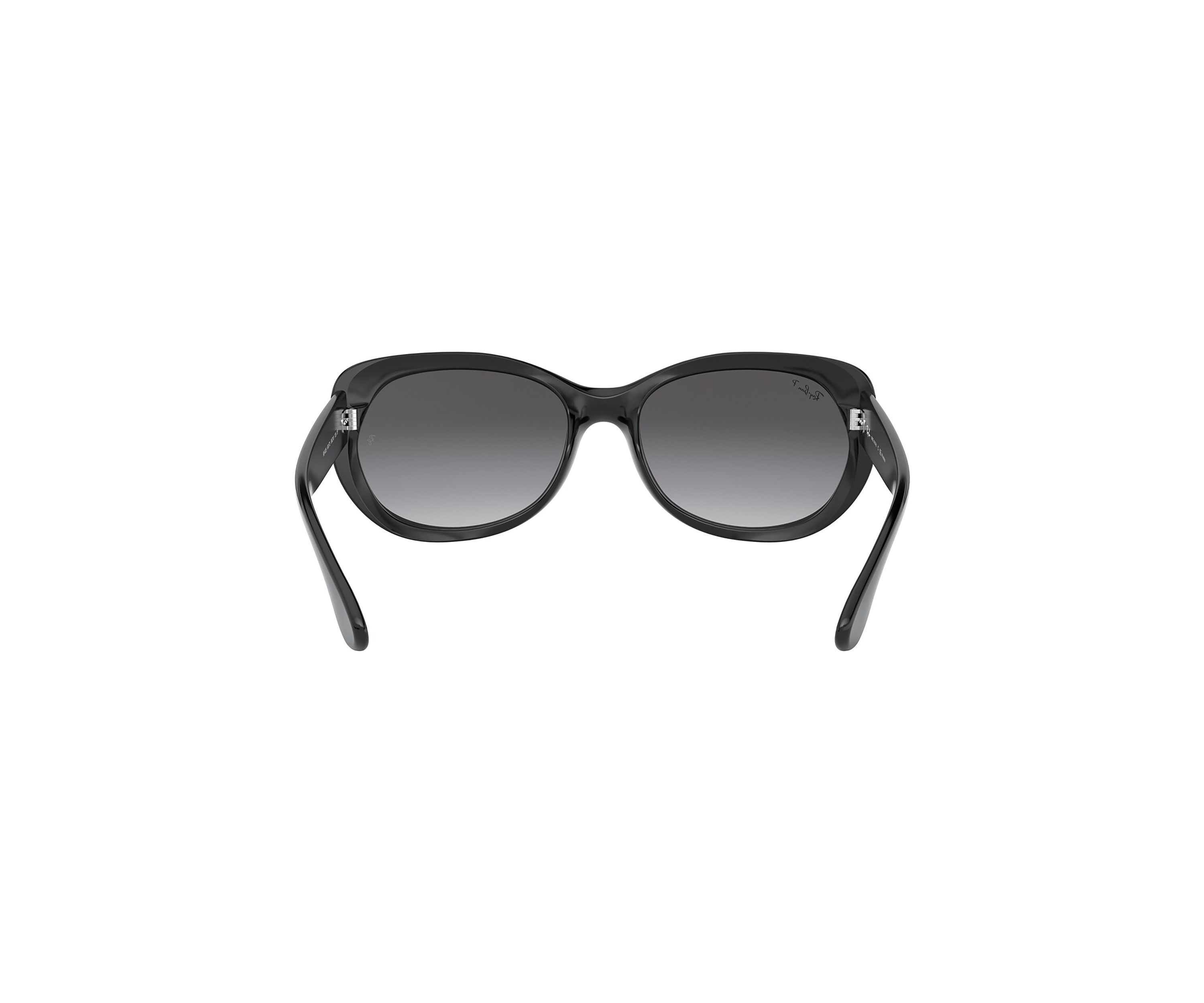 RB2193 Leonard Polarized Sunglasses