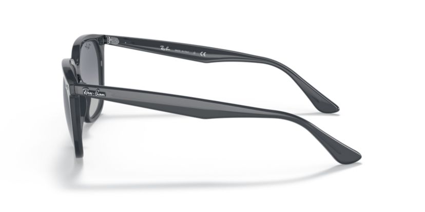 RB4362 Sunglasses