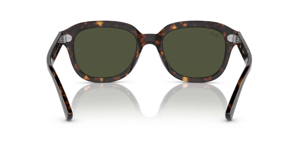 RB4398 Erik Sunglasses