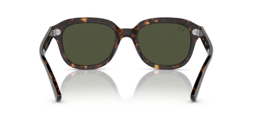 RB4398 Erik Sunglasses